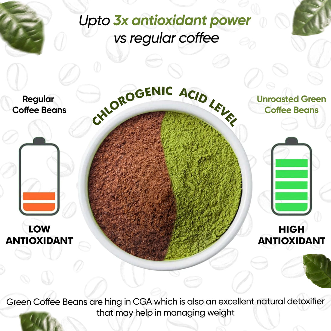 Organic Green Coffee Beans Powder - for Weight Management (100 gm)
