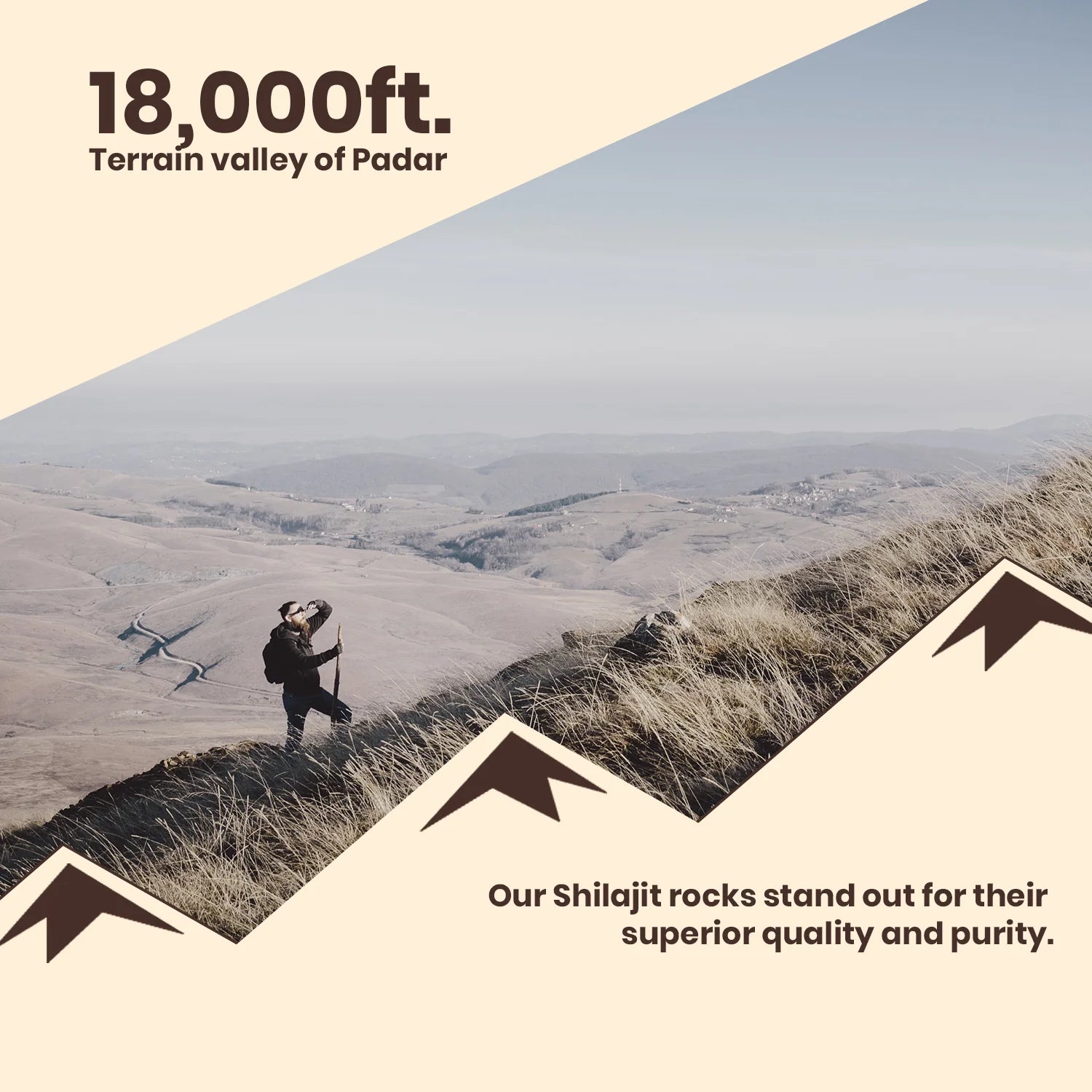 Pure Himalayan Shilajit Resin – 20 Gram